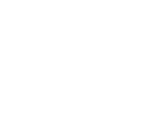 Logo o imagen